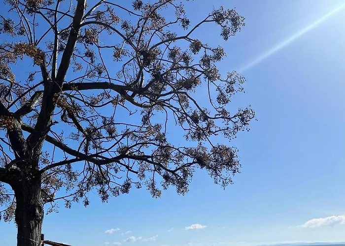 Lilly Διαμέρισμα